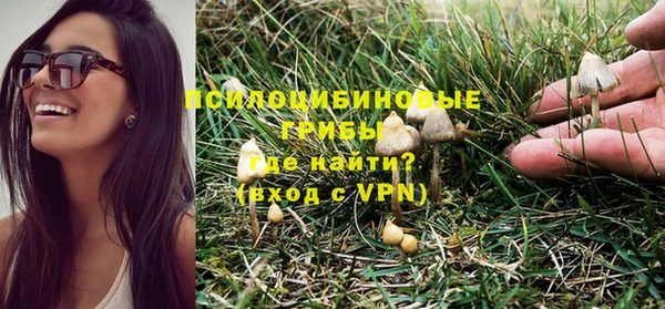 ПСИЛОЦИБИНОВЫЕ ГРИБЫ Абдулино