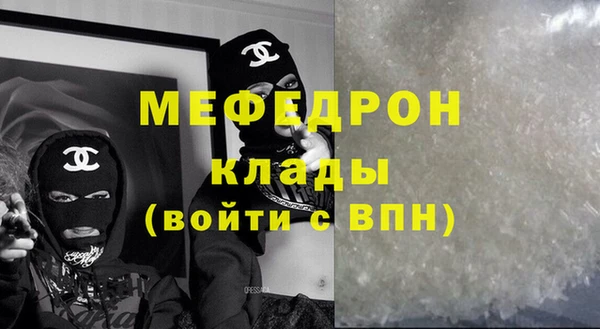 индика Новодвинск