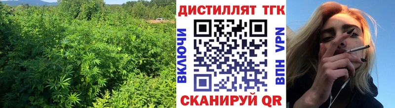 продажа наркотиков  Нальчик  ТГК THC oil 