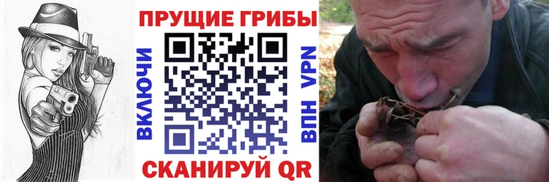 купить наркотики сайты  Нальчик  Галлюциногенные грибы MAGIC MUSHROOMS 