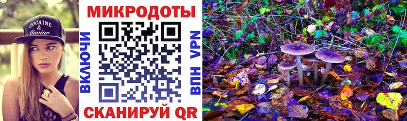 Галлюциногенные грибы GOLDEN TEACHER Нальчик