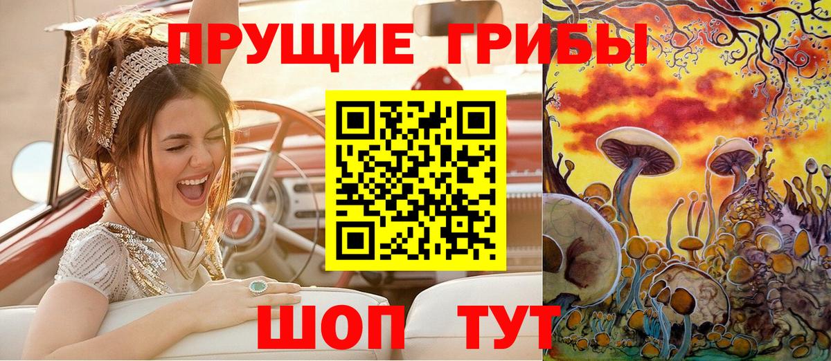 Псилоцибиновые грибы мицелий  Вход с VPN  Нальчик 
