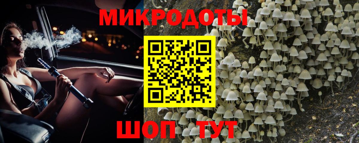 Галлюциногенные грибы Cubensis Нальчик